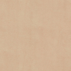 Odean 4 Sesame by Stout Designer Fabric