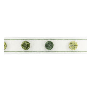 Odessa Tape 5 Avocado by Stout Designer Trim