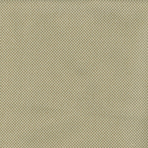 Odid-Turk Sugarcane by Magnolia Designer Fabric