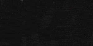Okin Black by Norbar Designer Fabric