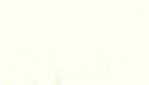 Okin Ivory by Norbar Designer Fabric