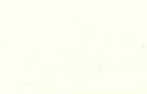 Okin Pearl by Norbar Designer Fabric
