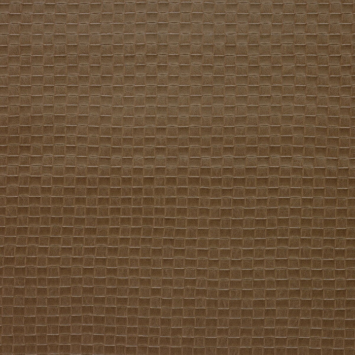 Olia-1616 by Kravet Design Designer Fabric - POLYVINYL CHLORIDE - 70%;POLYESTER - 16%;COTTON - 9%;POLYURETHANE - 5% Korea, Republic of HEAVY Horizontal: 1 and Vertical: 1 54 - Swanky Fabrics -