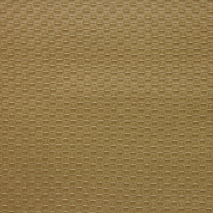 Olia-16 by Kravet Design Designer Fabric - POLY VINYL CHLORIDE - 75%;POLYESTER - 16%;COTTON - 9% Korea, Republic of HEAVY Horizontal: 1 and Vertical: 1 54 - Swanky Fabrics -