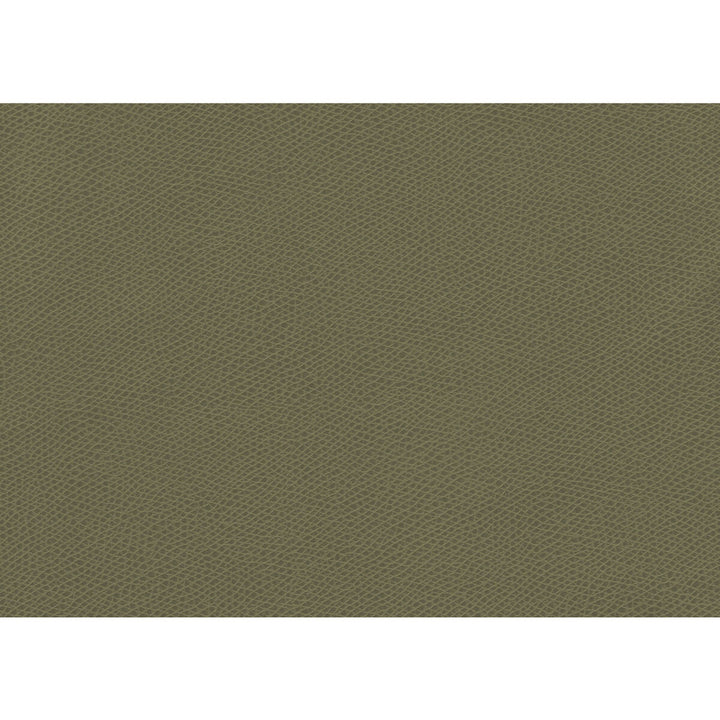 Ophidian Sage by Kravet Contract Designer Fabric CONTRACT STA-KLEEN POLYURETHANE - 100% China HEAVY Horizontal: and Vertical: 54 - Swanky Fabrics -