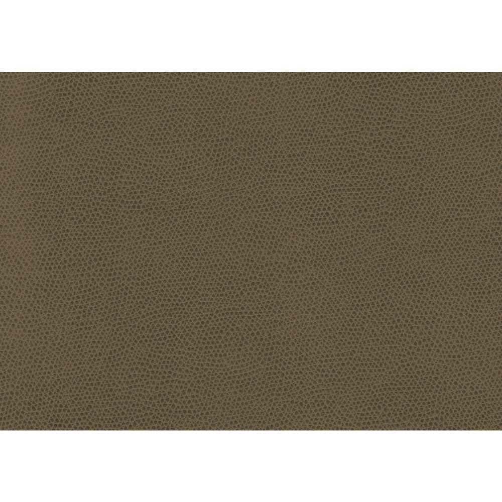 Ophidian Bark by Kravet Contract Fabric Kravet Contract Fabric Ophidian BarkFabric CONTRACT STA-KLEEN POLYURETHANE - 100% China </p><p>Repeat: H: , V: 54 - Fabric Carolina -