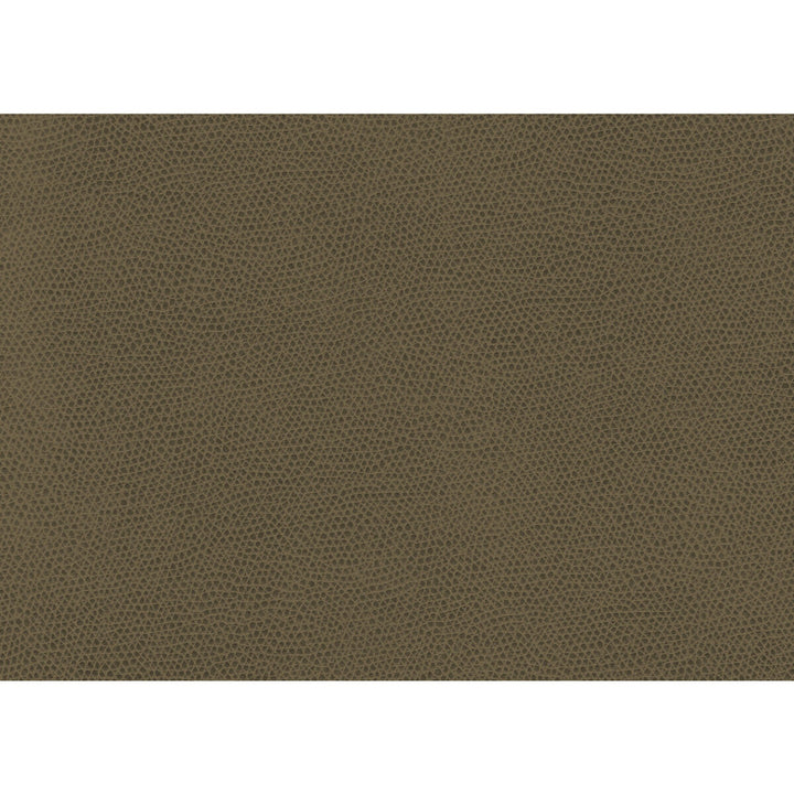 Ophidian Bark by Kravet Contract Designer Fabric CONTRACT STA-KLEEN POLYURETHANE - 100% China HEAVY Horizontal: and Vertical: 54 - Swanky Fabrics -
