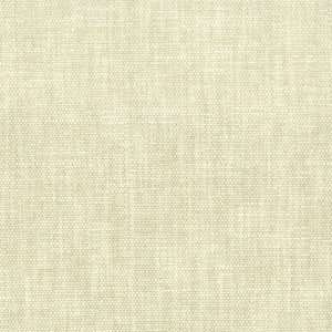 Orwin 23 Champagne by Stout Designer Fabric