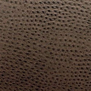 Ostrich Chocolate So 373 by Norbar Designer Fabric