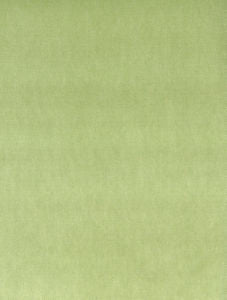 Othello Sprout 312 by Norbar Designer Fabric OTHELLO 75% POLYESTER 25% COTTON CHINA 54 - Swanky Fabrics -