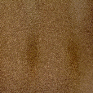 Otter 38J6261 by JF Designer Fabric