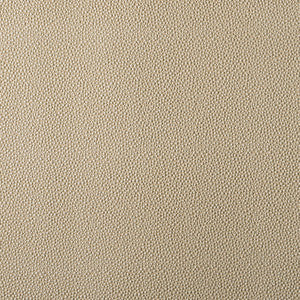 Outlaw 93J9591 By JF Designer Fabric