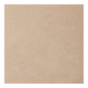 Overlook Praline OVERLOOK.116.0 By Kravet Contract Designer Fabric