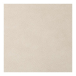 Overlook Desert OVERLOOK.16.0 By Kravet Contract Designer Fabric