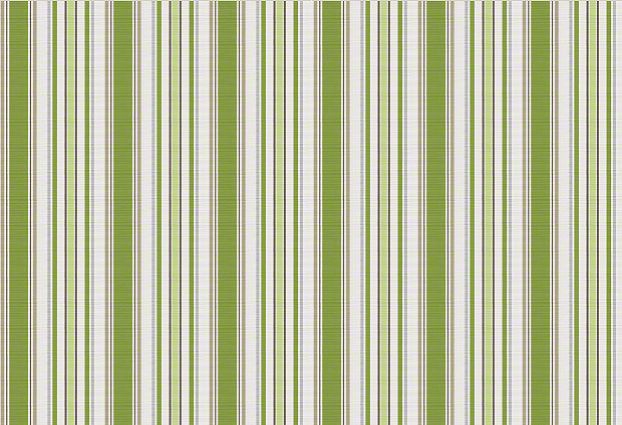 Para Tempotest Fabric Acapella Spring 4 3/4 Yards