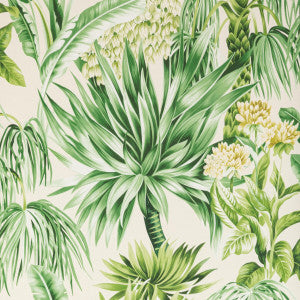 Caluya Paper Palm by Lee Jofa Designer Wallcovering