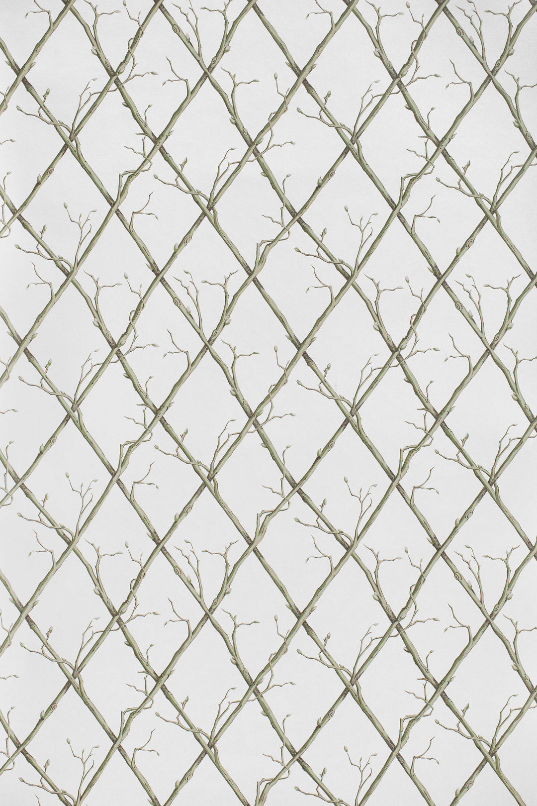 Twig Trellis Wp - Green P2025108.123.0 by Lee Jofa Designer Wallcovering