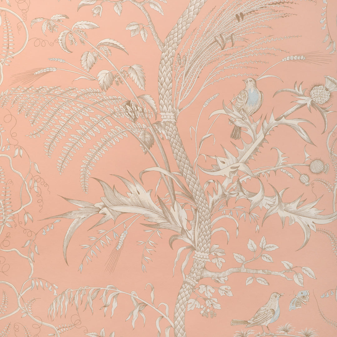 Bird And Thistle Ii - Peach P8024101.1216.0 by Brunschwig & Fils Designer Wallcovering