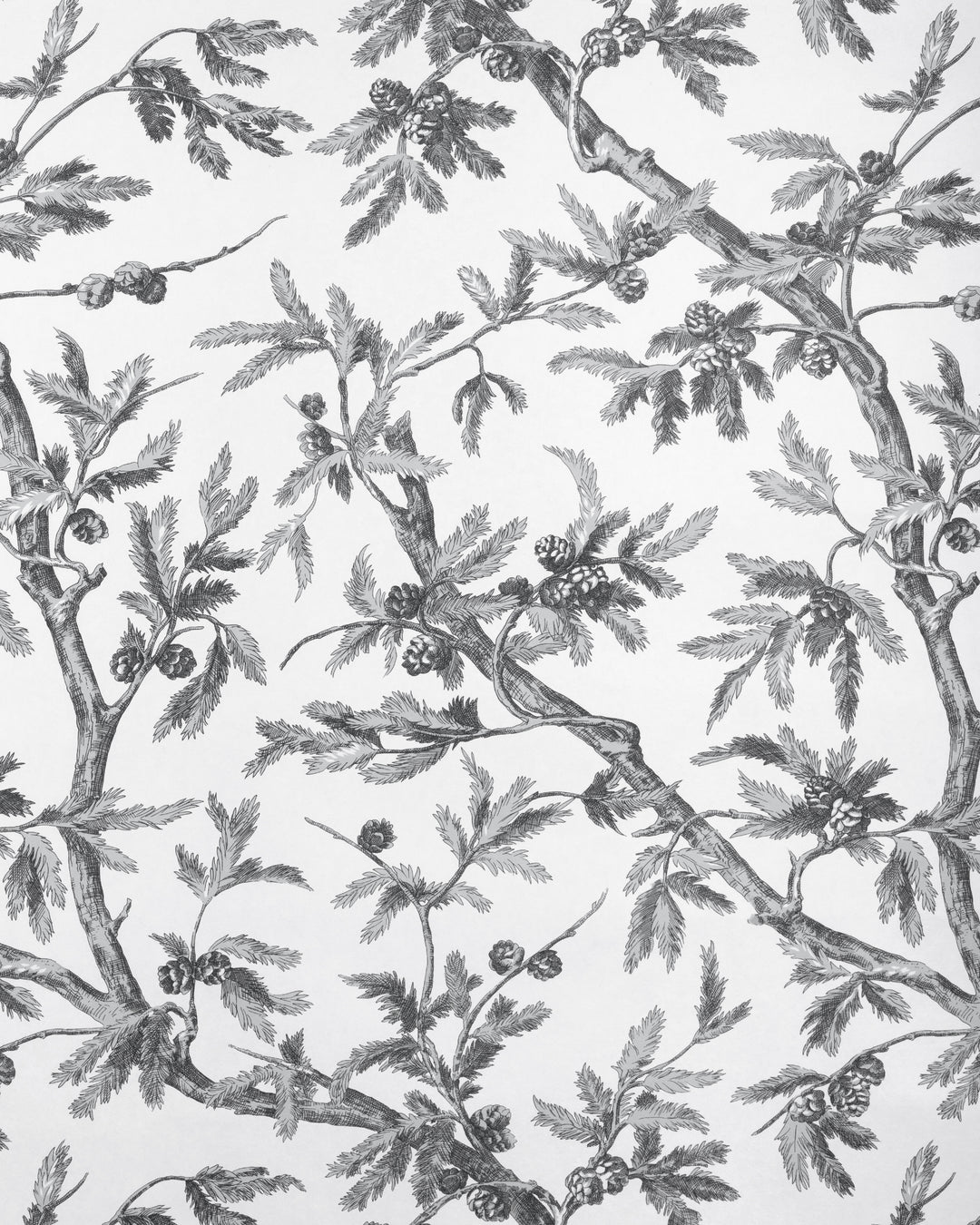 Branches De Pin Wc - Grey P8025100.116.0 by Brunschwig & Fils Designer Wallcovering