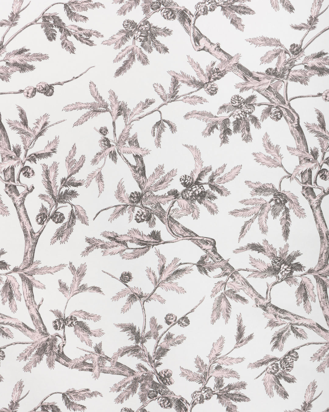 Branches De Pin Wc - Pink P8025100.17.0 by Brunschwig & Fils Designer Wallcovering