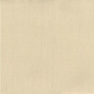 Pablo Canvas 106 by Norbar Designer Fabric