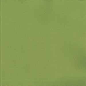 Pablo Fern 228 by Norbar Designer Fabric