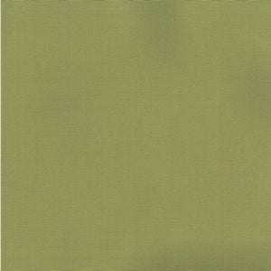 Pablo Pear 288 by Norbar Designer Fabric PABLO 100% COTTON TURKMANISTAN 54" - Swanky Fabrics -
