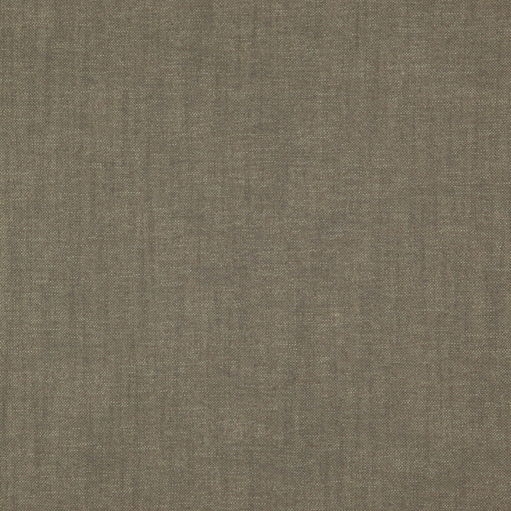 PABLO 39J7521 by JF Designer Fabric Pablo Book 65% Viscose, 22% Cotton, 13% Linen India  Horizontal:  and Vertical:  54  - Swanky Fabrics -