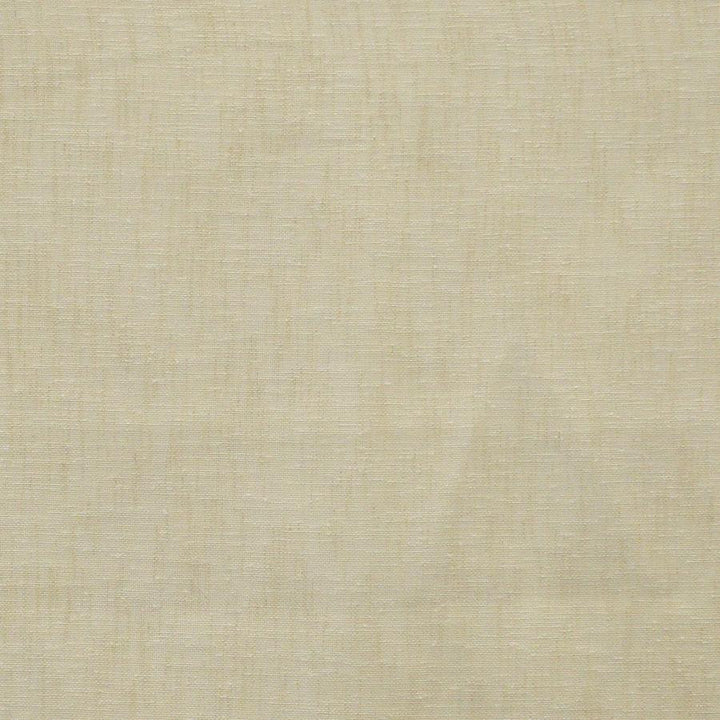 Polonius # 619 Latte by Maxwell Designer Fabric Sheer Textures 100% POLYESTER TURKEY 118" - Swanky Fabrics -
