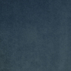 Palermo # 401 Dragonfly by Maxwell Designer Fabric