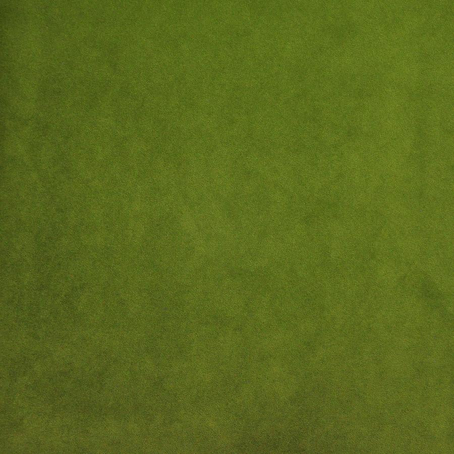 Palermo # 419 Lime by Maxwell Designer Fabric Home & Garden-Act Vii 76% RECYLCED POLYESTER/24% POLYESTER (PILE: 100% SOLUTION-DYED RECYCLED POLYESTER) TURKEY 55" - Swanky Fabrics -