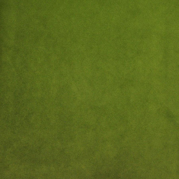 Palermo # 419 Lime by Maxwell Designer Fabric Home & Garden-Act Vii 76% RECYLCED POLYESTER/24% POLYESTER (PILE: 100% SOLUTION-DYED RECYCLED POLYESTER) TURKEY 55" - Swanky Fabrics -