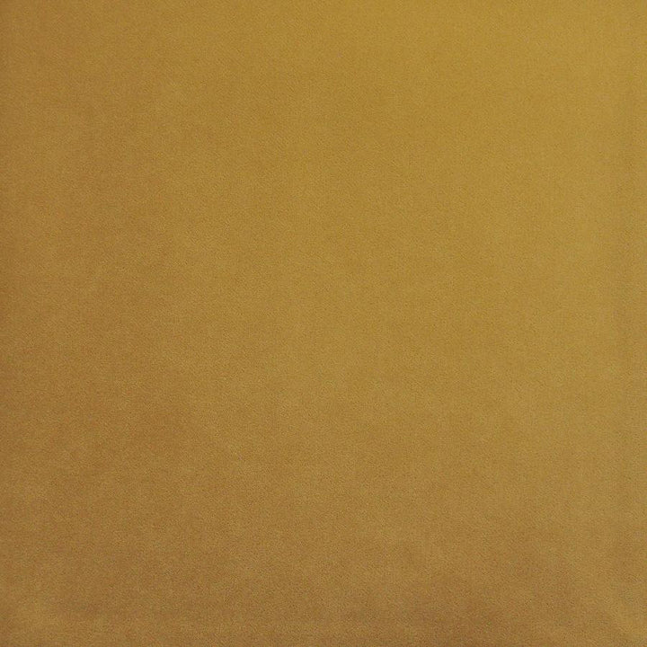 Palermo # 423 Butter by Maxwell Designer Fabric Home & Garden-Act Vii 76% RECYLCED POLYESTER/24% POLYESTER (PILE: 100% SOLUTION-DYED RECYCLED POLYESTER) TURKEY 55" - Swanky Fabrics -
