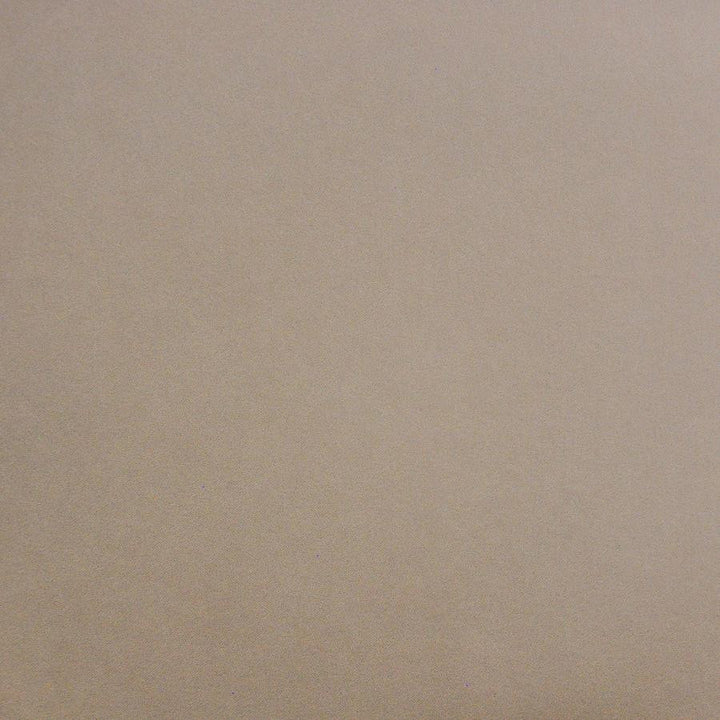 Palermo # 426 Pale by Maxwell Designer Fabric Home & Garden-Act Vii 76% RECYLCED POLYESTER/24% POLYESTER (PILE: 100% SOLUTION-DYED RECYCLED POLYESTER) TURKEY 55" - Swanky Fabrics -