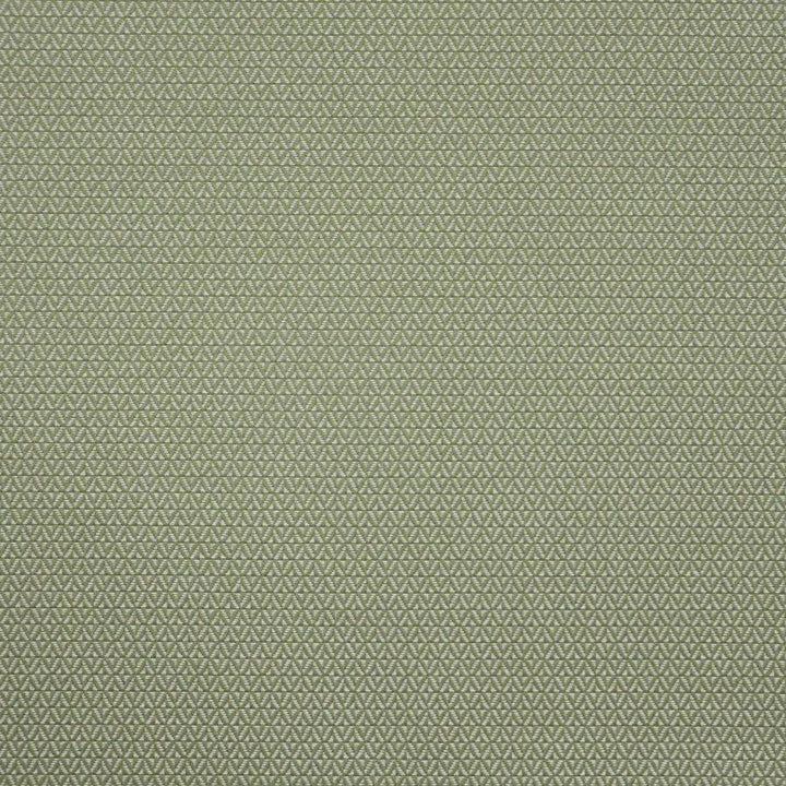 Putney # 646 Basil by Maxwell Designer Fabric Home & Garden-Act Vi 100% OUTDURA SOLUTION-DYED ACRYLIC USA 54" - Swanky Fabrics -