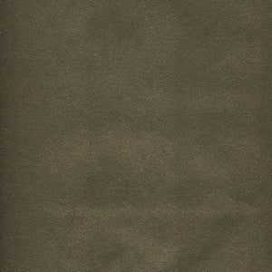 Potion-Nj # 592 Iron by Maxwell Designer Fabric