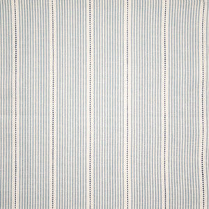 Partition # 156 Cornflower by Maxwell Designer Fabric