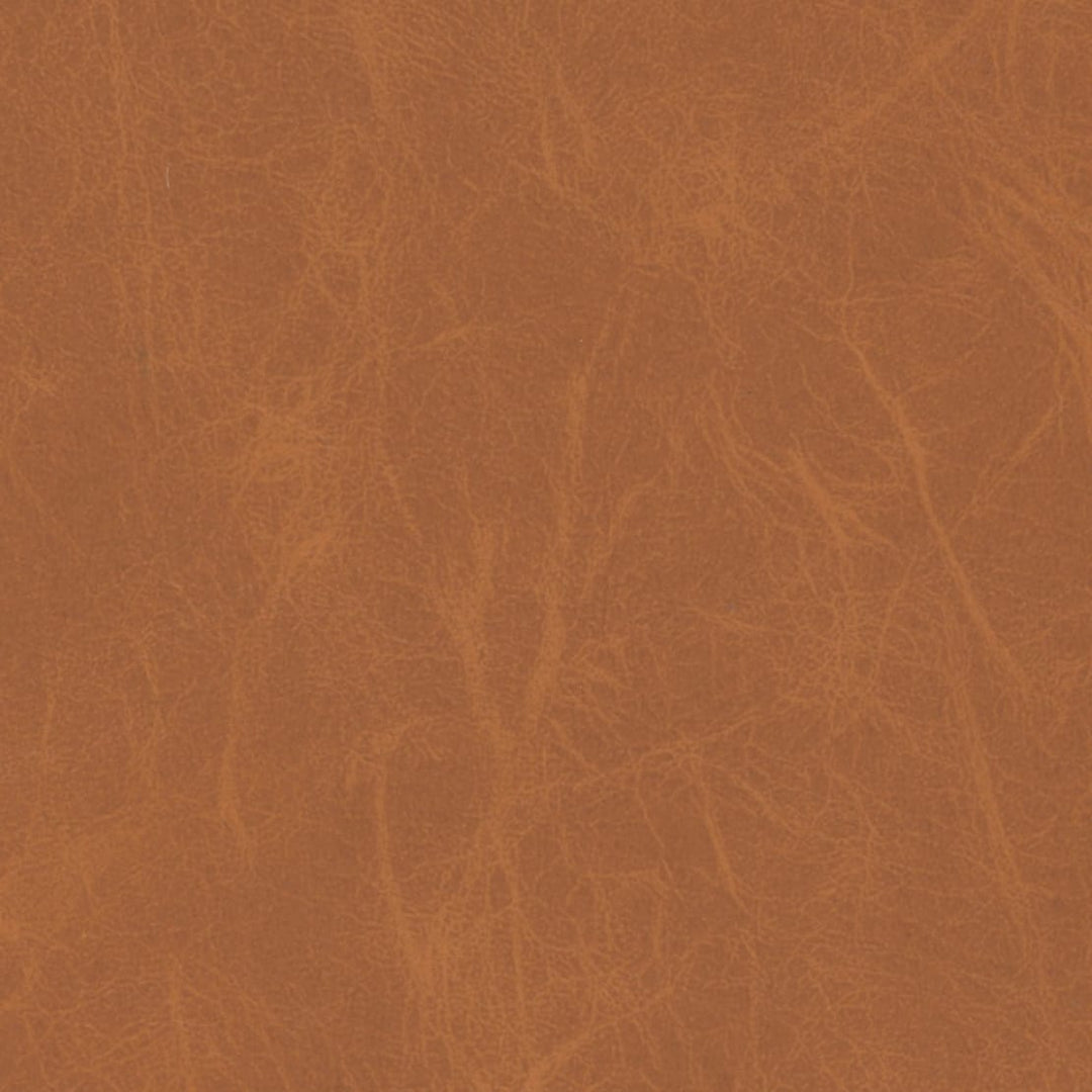 Pana Spice by Europatex Designer Fabric