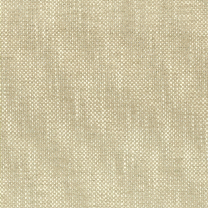 Panic 1 Champagne by Stout Designer Fabric LIVING IS EASY SALT/SANDSTONE 100%UV USA PERFORMANCE RATED FABRIC FLAME RETARDANT-U.F.A.C. CLASS 1 CATB 117-2013 WYZENBEEK 51 000 DOUBLE RUB WEAR TEST (HEAVY DUTY) </p><p>Repeat: 0.125 56 in - Swanky Fabrics -