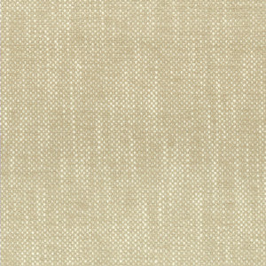Panic 1 Champagne by Stout Designer Fabric