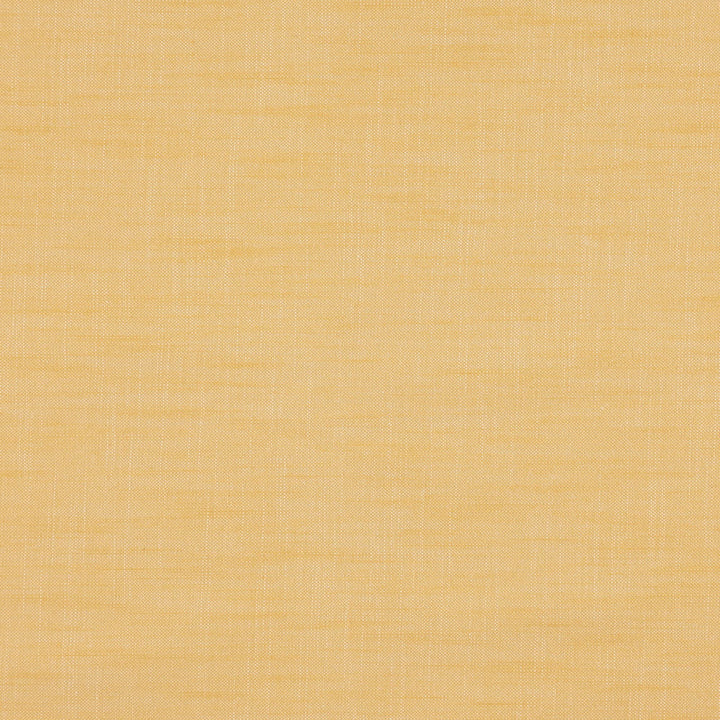 PAPARAZZI 16J7301 by JF Designer Fabric Winning Windows II -Wide Width Dim,Blackout Book 52% Cotton, 48% Polyester India  Horizontal:  and Vertical:  118  - Swanky Fabrics -