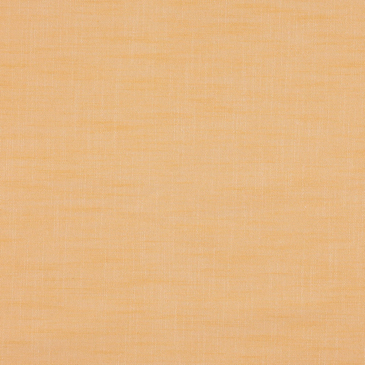 Paparazzi 19J7301 by JF Designer Fabric Winning Windows II -Wide Width Dim,Blackout Book 52% Cotton, 48% Polyester India 50000 Horizontal: and Vertical: 118 - Swanky Fabrics -