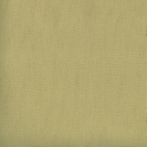 Parma Willow 216 by Norbar Designer Fabric