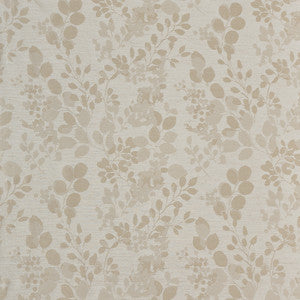 Pasadena B Eggshell by Europatex Designer Fabric