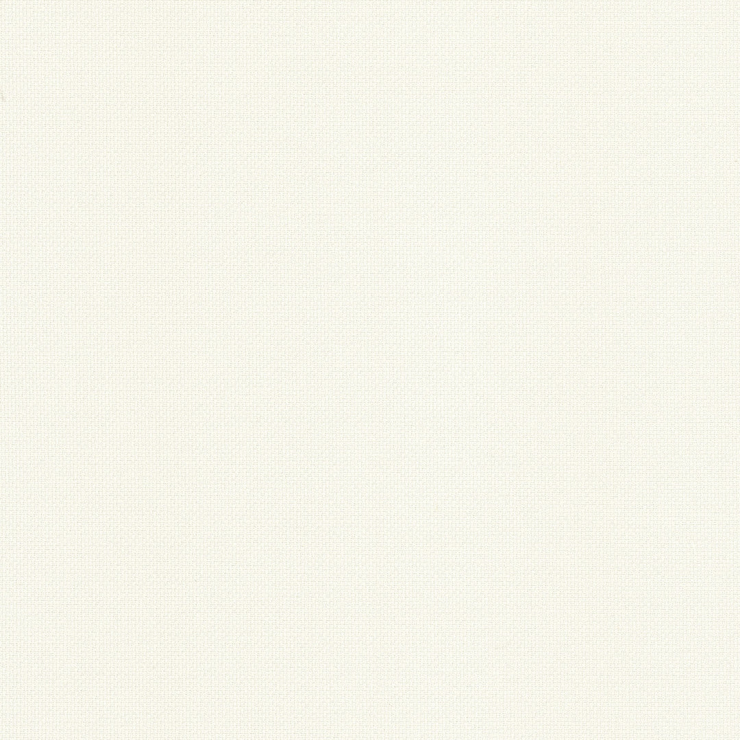 Pasteur 1 Salt by Stout Designer Fabric