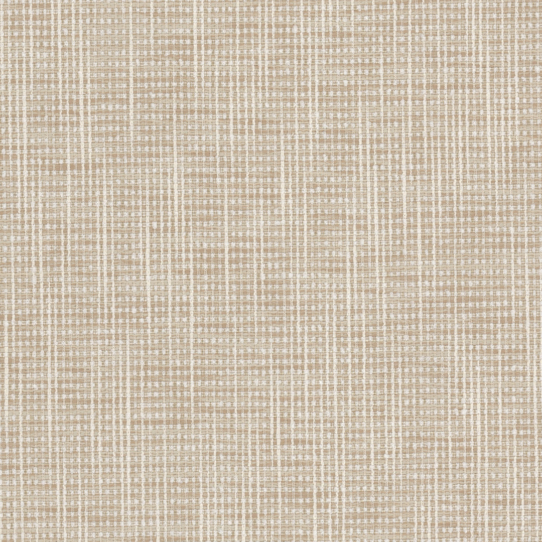 Patou 1 Shell by Stout Designer Fabric