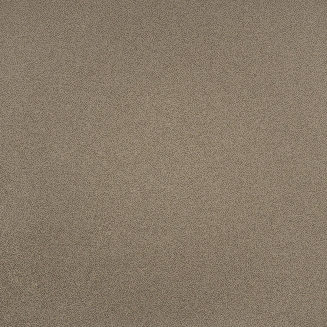 Pommel # 879 Alexandria by Maxwell Designer Fabric Easy Rider Ix FACE:100% PVC BACKING:100% POLYESTER TURKEY 54" - Swanky Fabrics -
