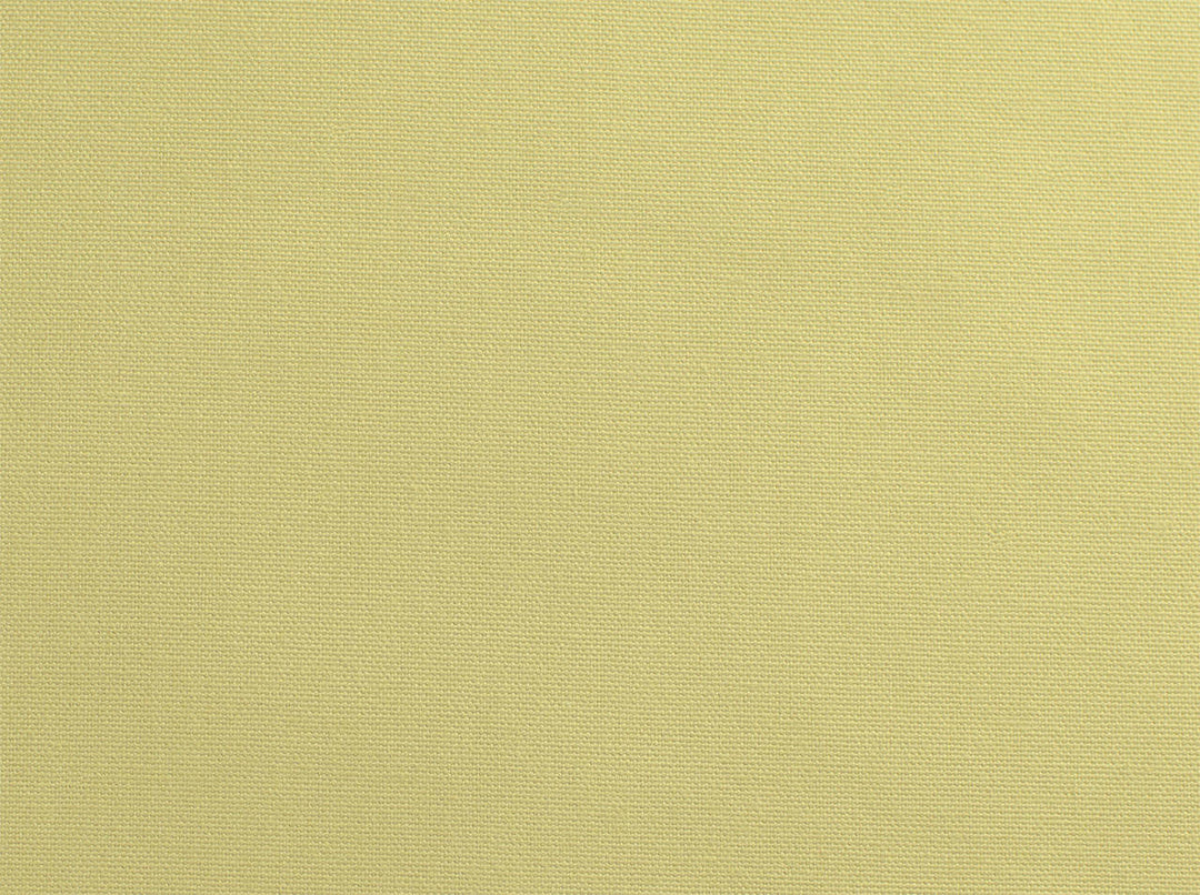 Pebbletex 216 Willow by Covington Designer Fabric