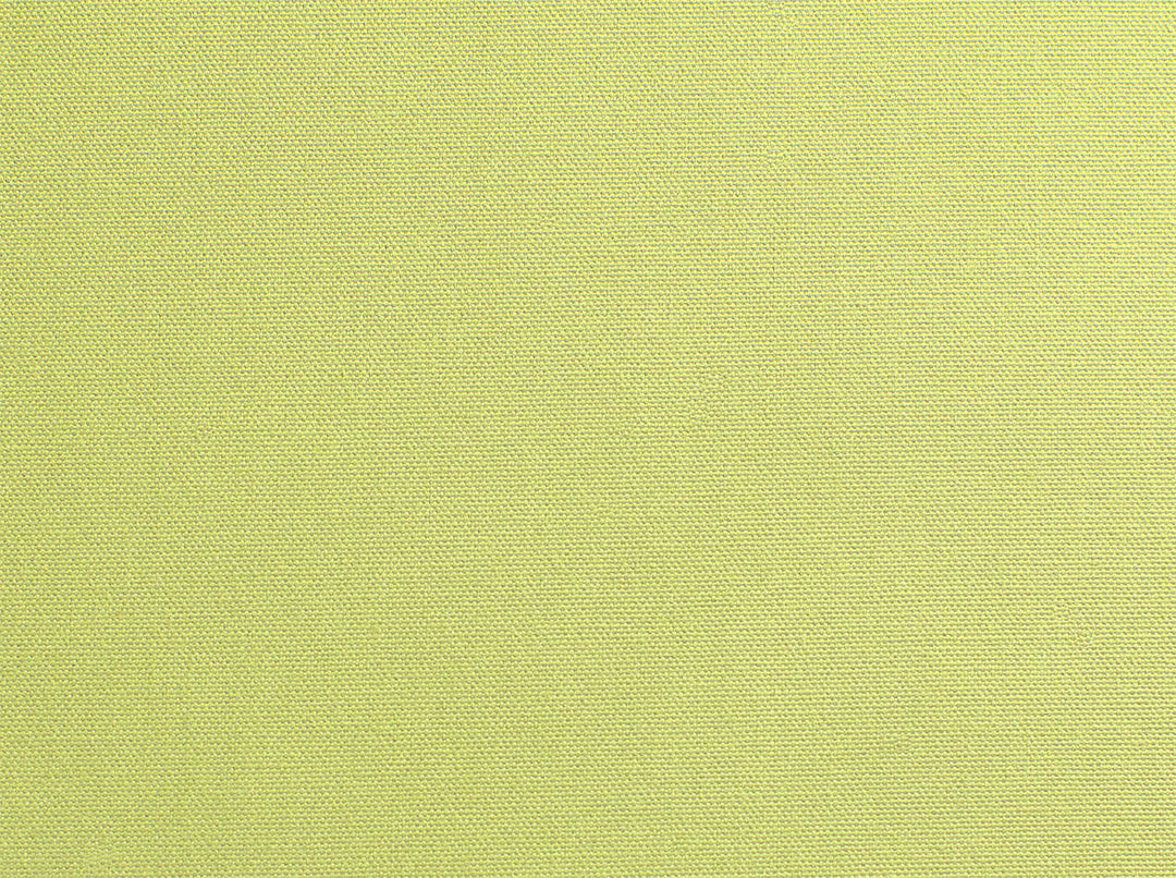Pebbletex 285 Kiwi by Covington Designer Fabric