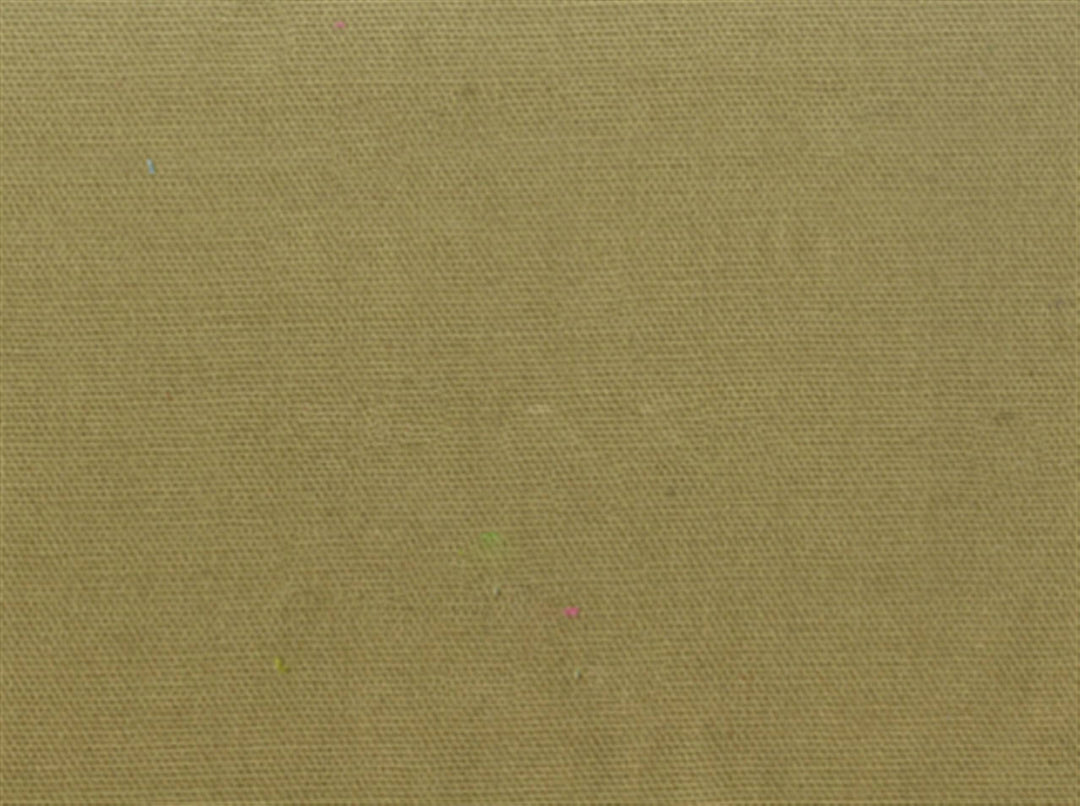 Pebbletex 288 Pear by Covington Designer Fabric